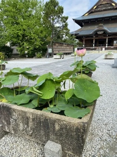 善光寺東海別院 本堂納骨堂 