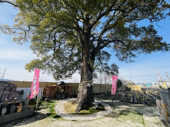 豊かな自然と落ち着いた雰囲気の霊園