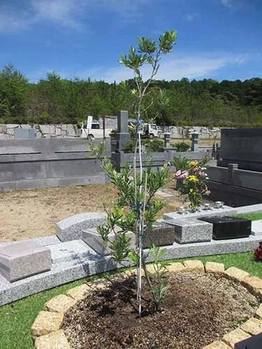 それ以外の愛知県の市 南山やすらぎ霊園 永代供養付き 樹木葬オリーブ