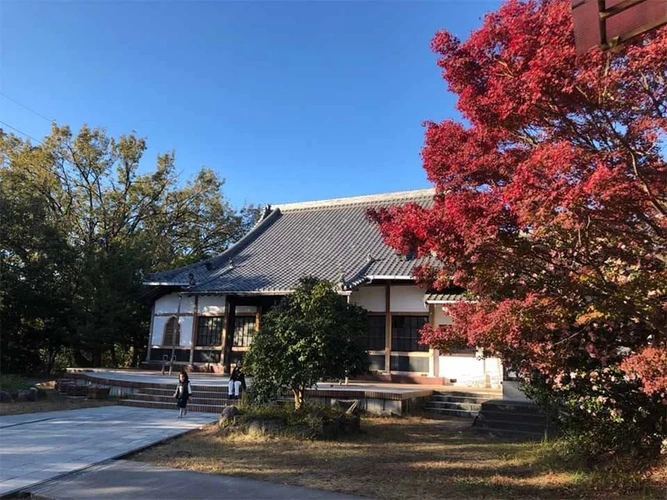 徳林寺 永代供養＆樹木葬 