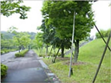 それ以外の愛知県の市 豊田市営 古瀬間墓地公園