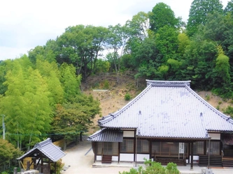 緑豊かな花樹散骨葬（散骨型樹木葬）