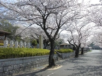 名古屋市千種区にある寺院墓地