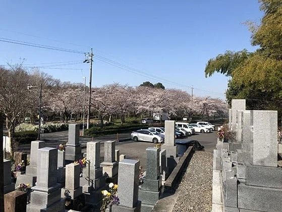 平和公園 春養寺 