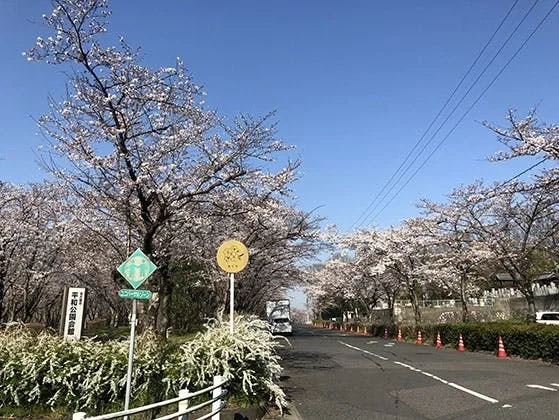 平和公園 春養寺 