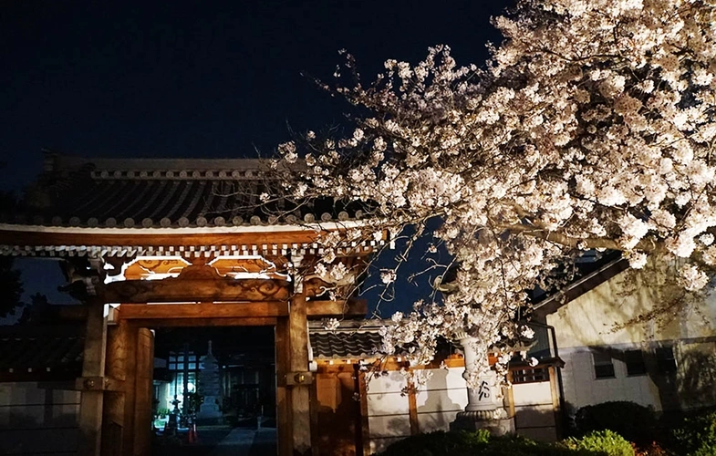 「愛樹木葬」小牧春日井樹木葬墓地 夜の山門