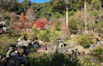 豊かな自然と落ち着いた雰囲気の霊園