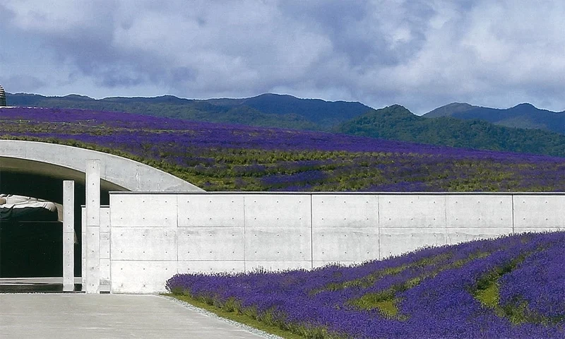 真駒内滝野霊園 頭大仏 