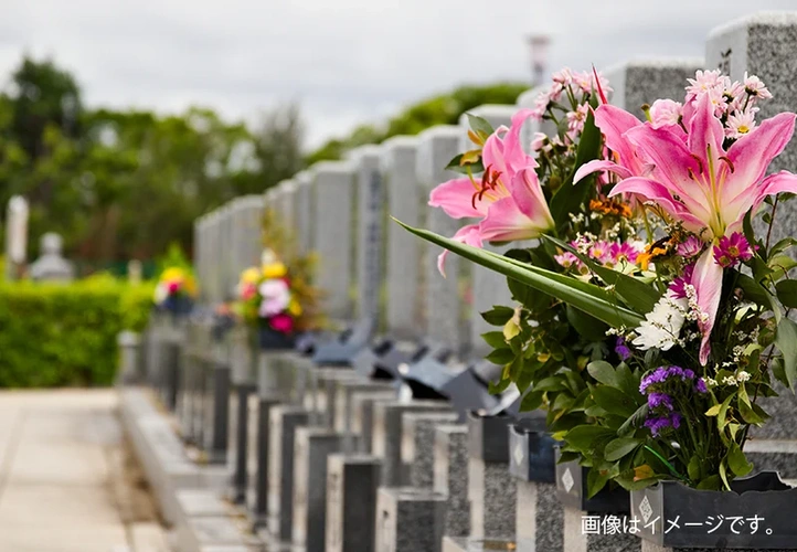 小花井墓地