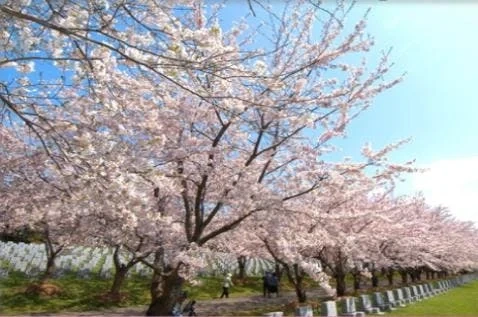 戸田記念墓地公園 