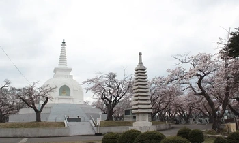 入檀義務なし