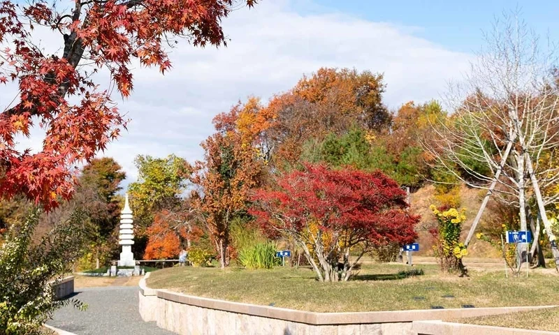 岩手県全ての市 いわて奥州・北上 「自然葬 国見の里」