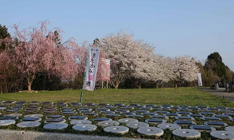 岩手県全ての市 きたかみ桜葬