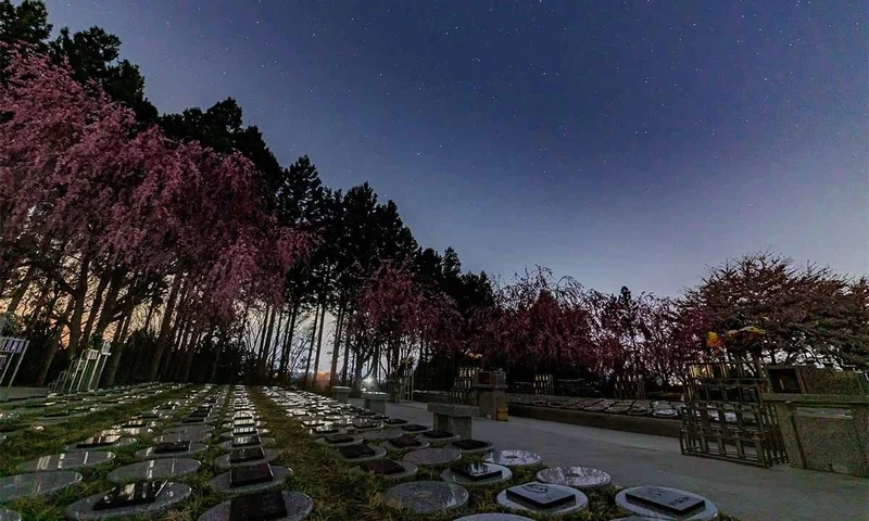 岩手県全ての市 きたかみ桜葬