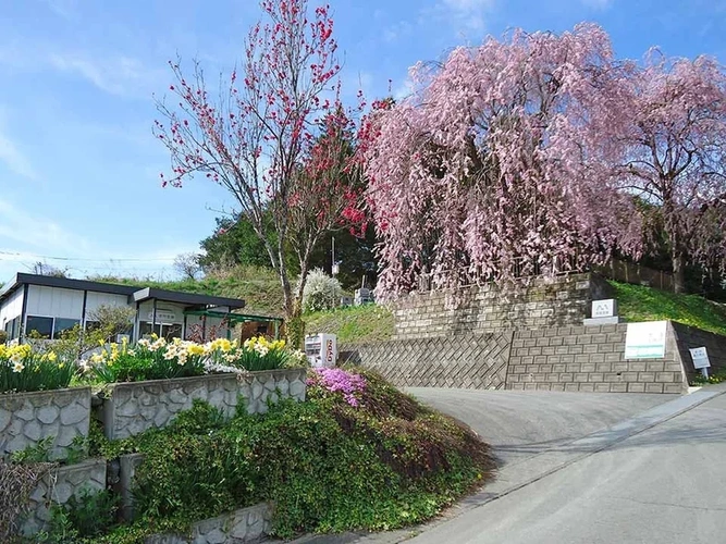 八幡平市 盛岡霊園