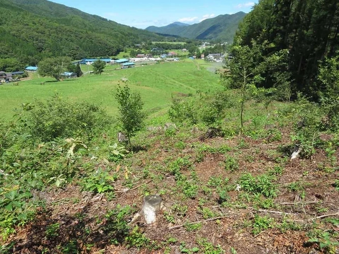 千年樹木葬・里山自然葬 