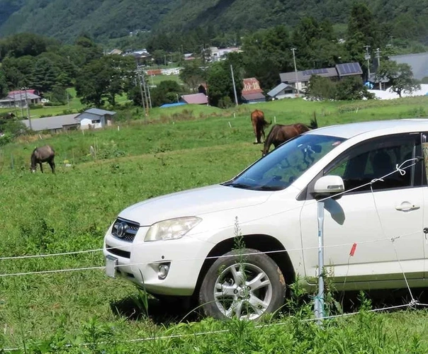 岩手県全ての市 千年樹木葬・里山自然葬