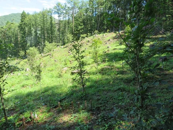 千年樹木葬・里山自然葬 