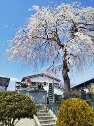 仙台市宮城野区にある寺院墓地