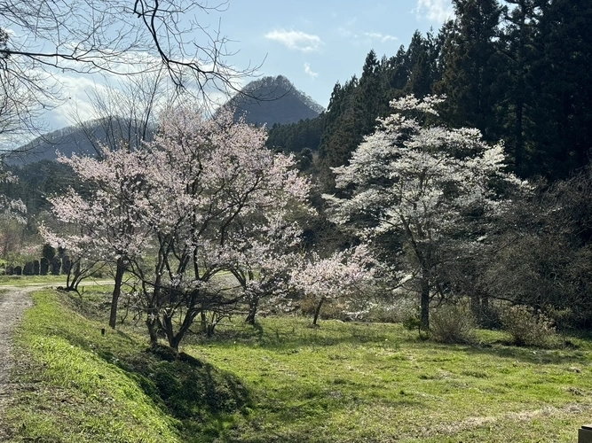 七ツ森樹木葬 