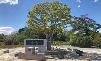 刈田郡蔵王町にある寺院墓地