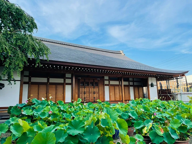 仙台市宮城野区 保春院 のうこつぼ