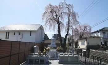 宗教不問の寺院墓地