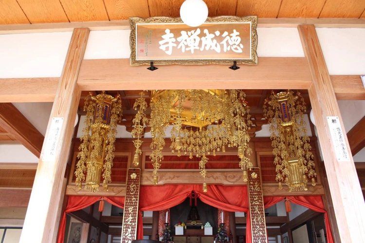 徳成寺 永代供養墓・一般墓 