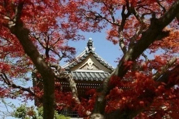 曹洞宗の寺院墓地