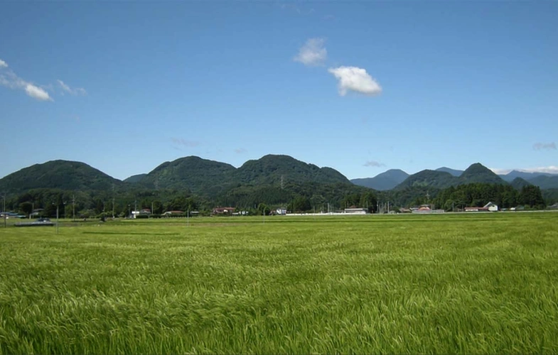 「愛樹木葬」宮城大和樹木葬墓地 七ツ森