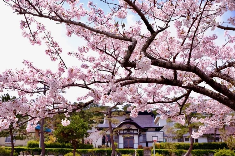 能代感応寺・共同墓 