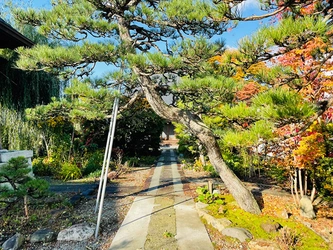 緑豊かな禮徳寺 のうこつぼ