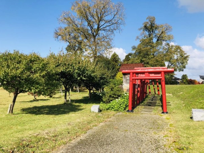 天澤寺  のうこつぼ 