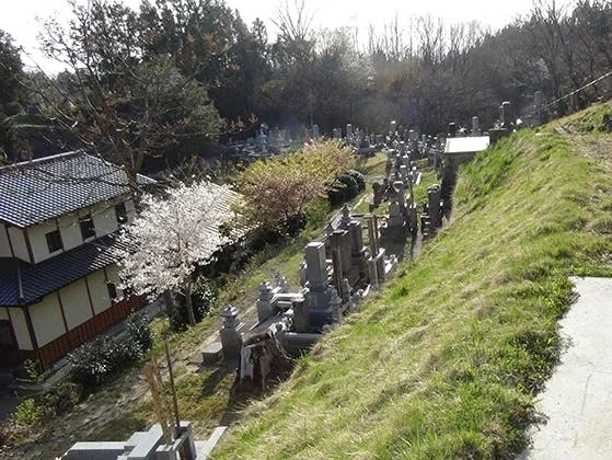  浄光寺「やすらぎ浄桜墓」 永代供養墓 樹木葬