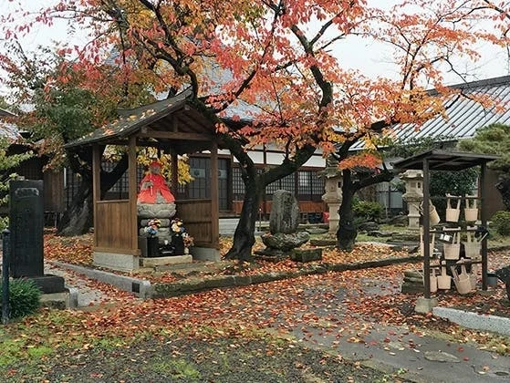 明智寺 