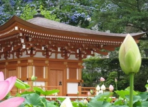 田村郡三春町 法蔵寺