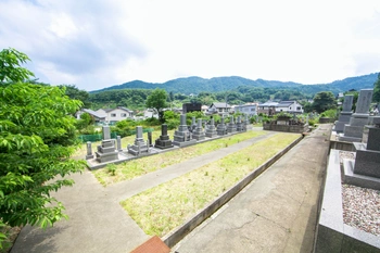 明るい雰囲気の寺院墓地