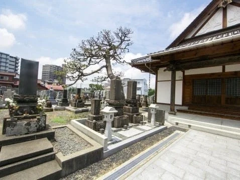 鳥取県の全ての市 妙玄寺墓地