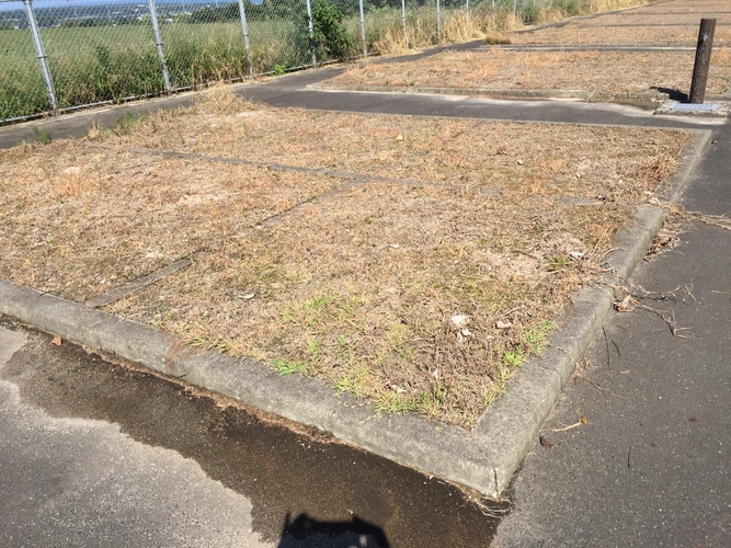 琴浦町営 きらり墓地 