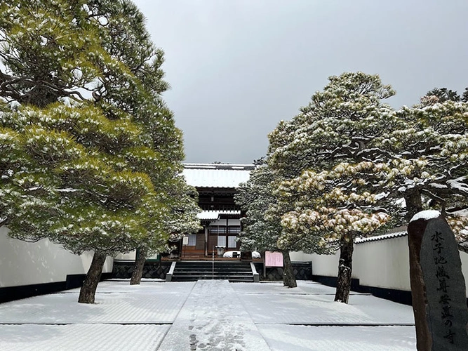 桐岳寺 のうこつぼ 