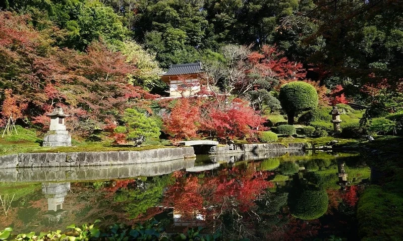 桐岳寺 のうこつぼ 