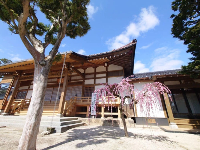 出雲市 龍善寺 のうこつぼ