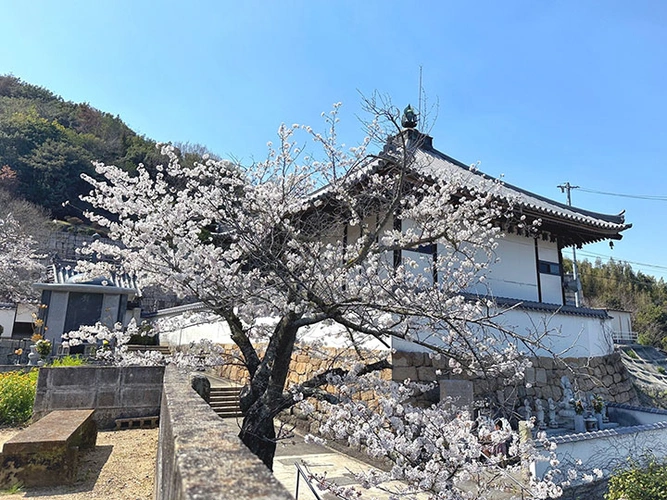 岡山市南区 松林寺 のうこつぼ