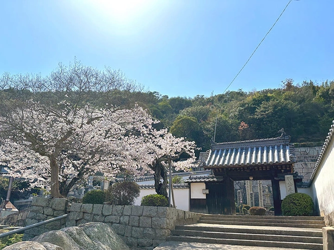 松林寺 のうこつぼ 