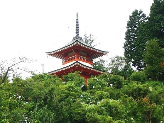 美作市 樹木葬霊園 憩い