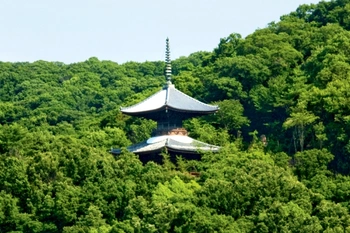 豊かな自然と落ち着いた雰囲気の寺院墓地