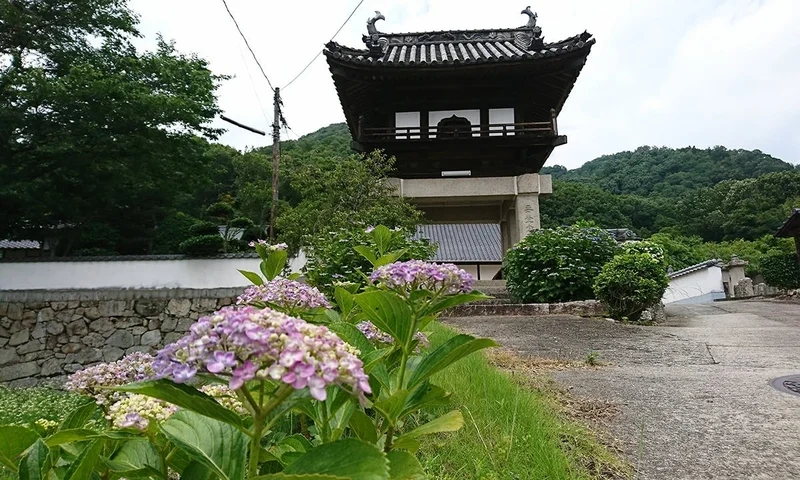 瑞雲寺 