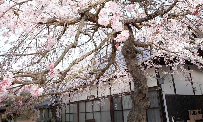 瑞雲寺 