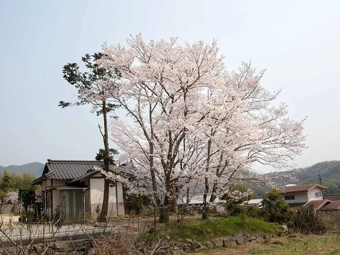 瑞雲寺 