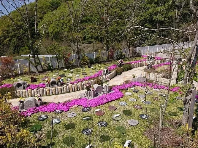 樹木葬「桜」（2人用/33年後合祀)の写真1